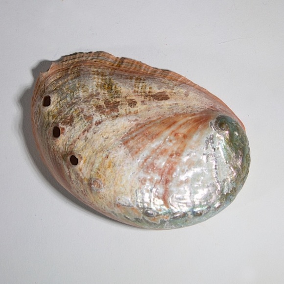 Witchy: NEW Palo Santo & Quartz Crystals with Abalone Shell, 3 PC. Set - NWT - Picture 4 of 11